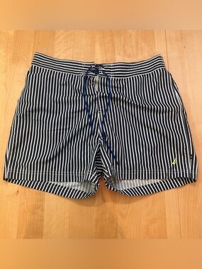 Nautica Mens Blue and White Stripe Swim Trunks L Polyester Mesh Lined